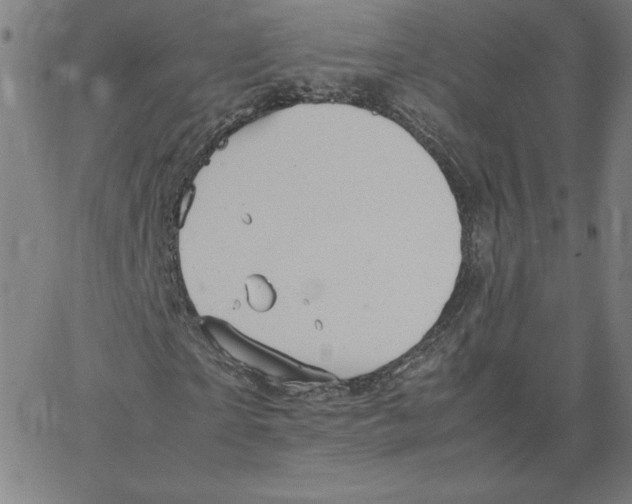 X0000067520865200604281631