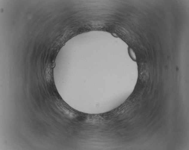 X0000067520866200604281631