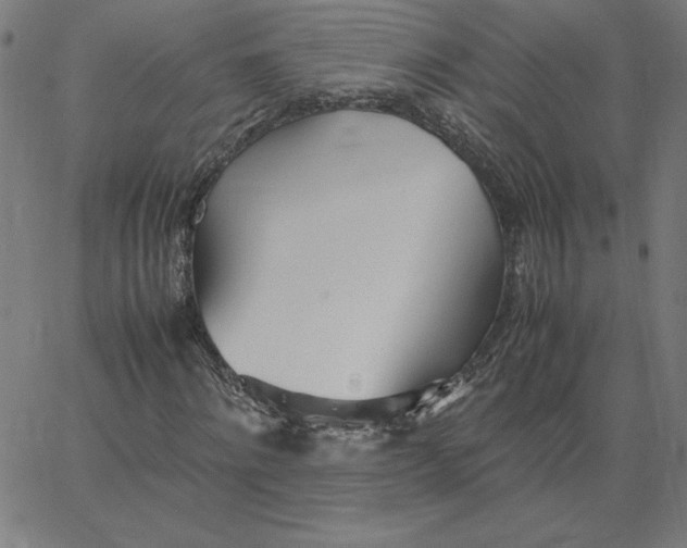 X0000067520868200604281631