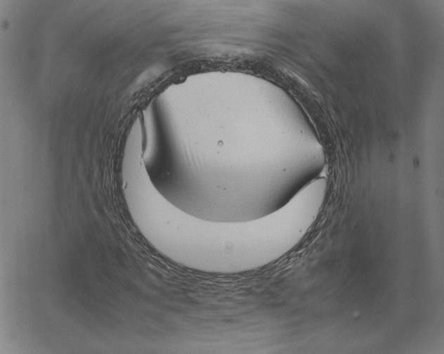 X0000067520869200604281631