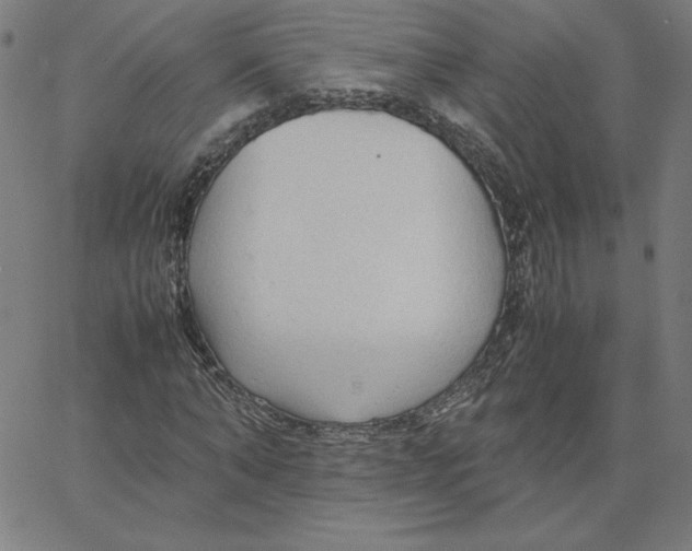 X0000067520870200604281631