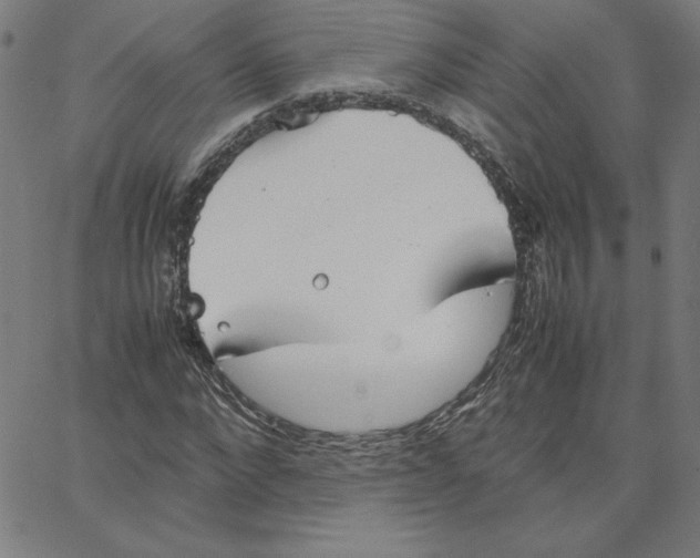 X0000067520872200604281631