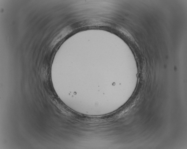 X0000067520873200604281631