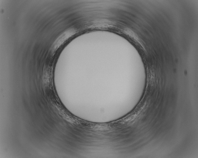 X0000067520874200604281631