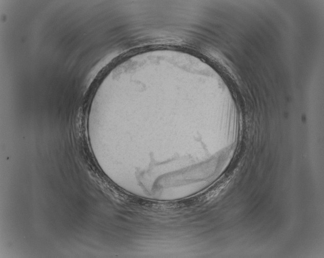 X0000067520875200604281631