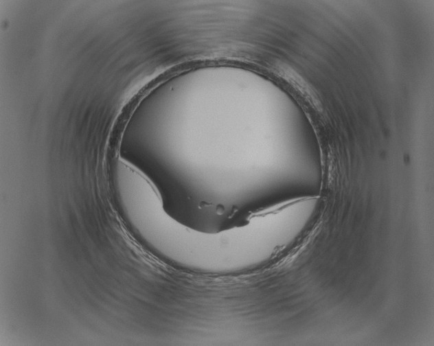 X0000067520876200604281631