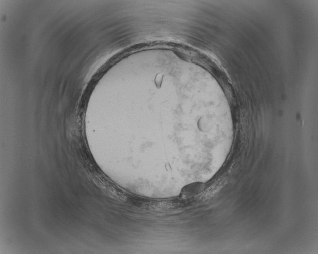 X0000067520879200604281631