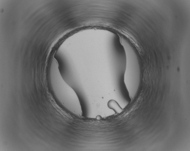 X0000067520880200604281631