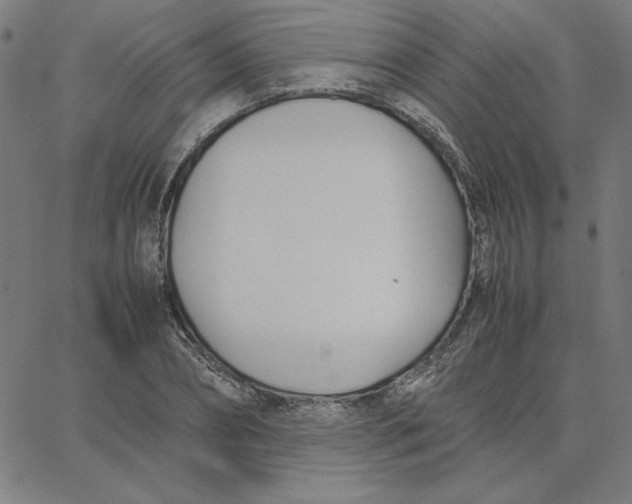 X0000067520882200604281631