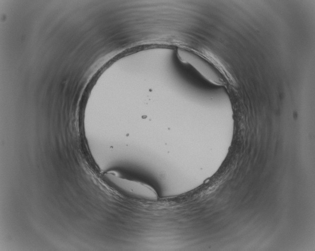 X0000067520884200604281631