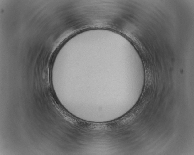 X0000067520886200604281631