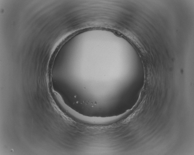 X0000067520888200604281631