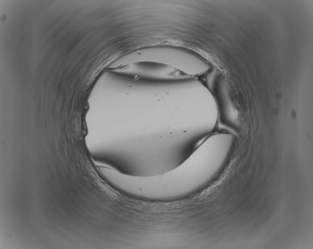 X0000067520889200604281631