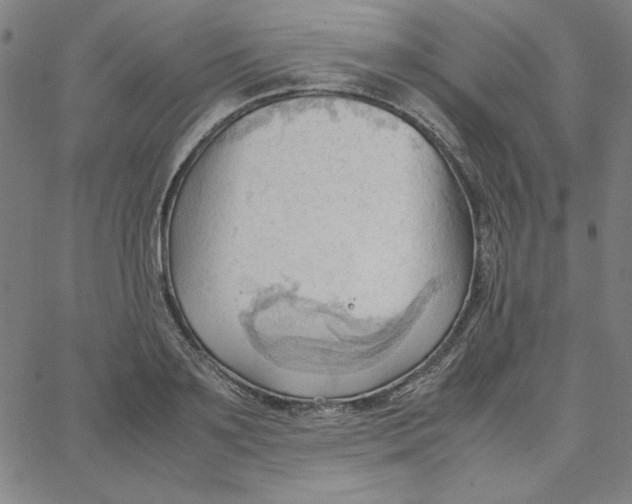 X0000067520891200604281631