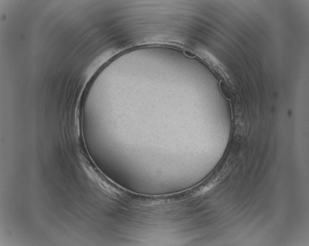 X0000067520892200604281631