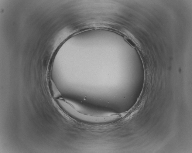 X0000067520893200604281631