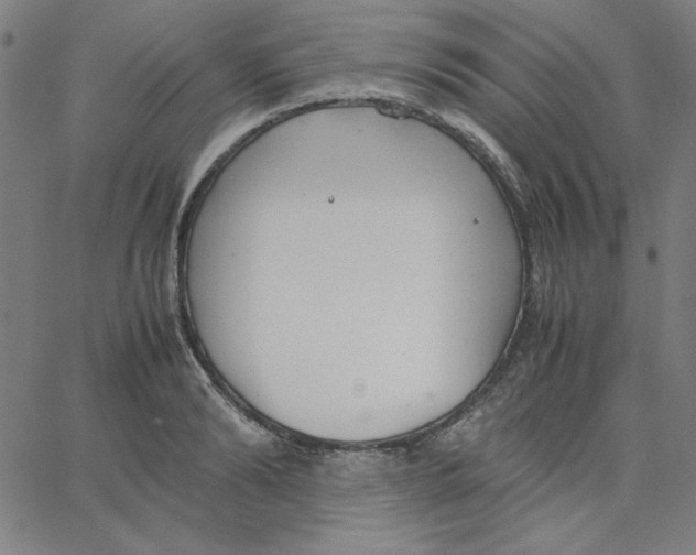 X0000067520894200604281631