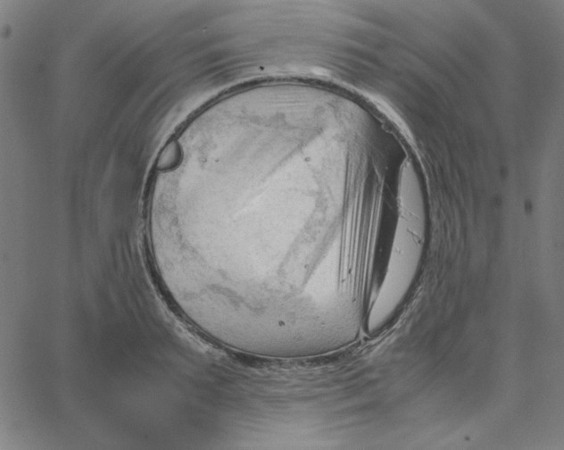 X0000067520895200604281631