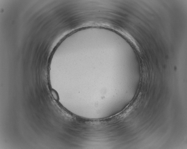 X0000067520896200604281631