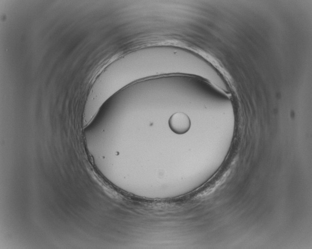 X0000067520897200604281631