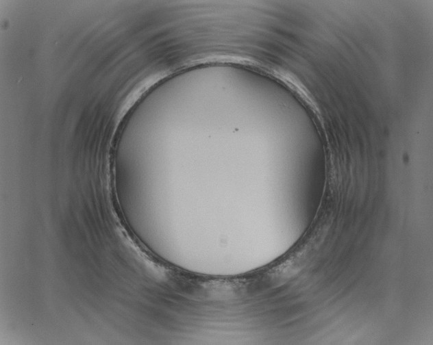 X0000067520898200604281631