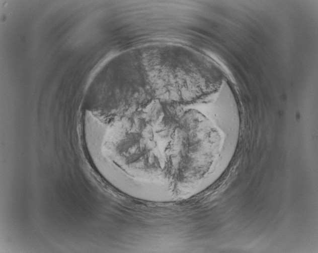 X0000067520899200604281631