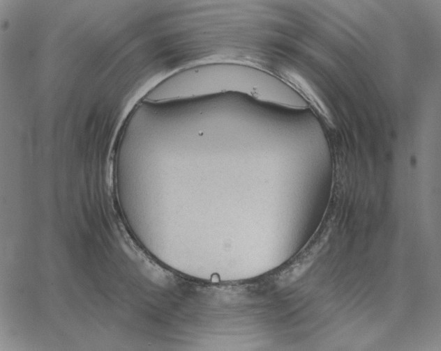 X0000067520900200604281631