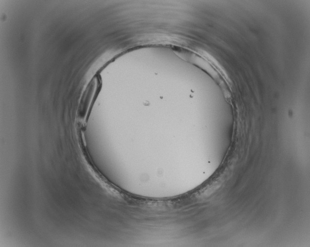 X0000067520901200604281631