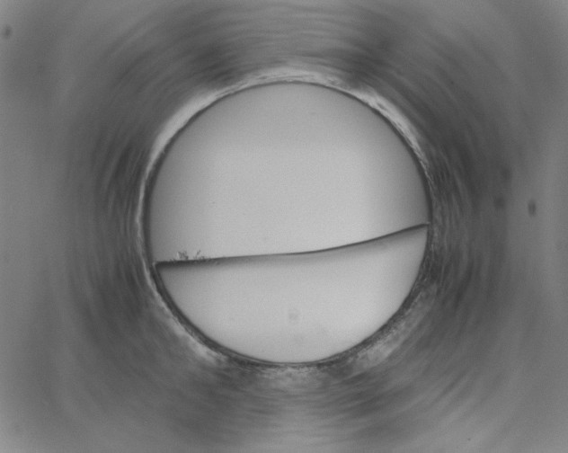 X0000067520902200604281631