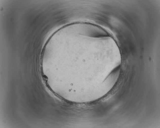 X0000067520903200604281631