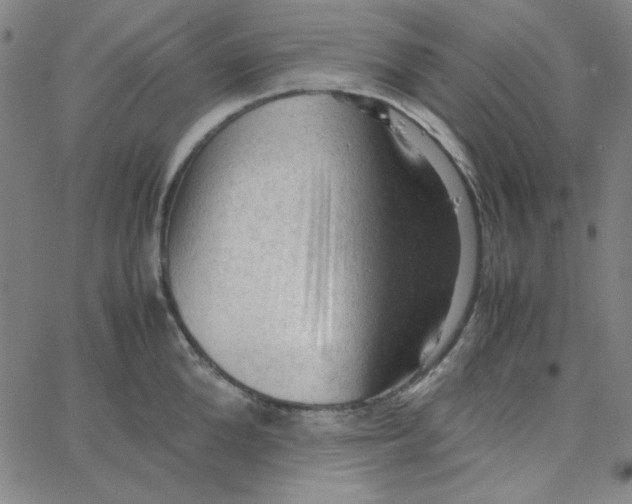 X0000067520904200604281631