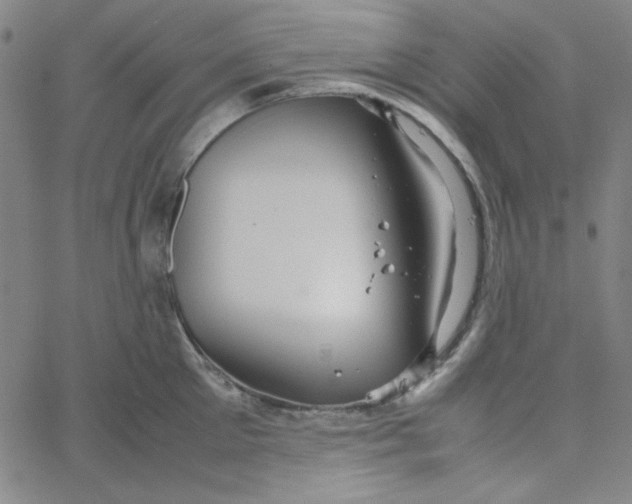 X0000067520905200604281631