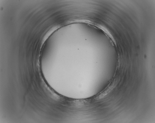 X0000067520906200604281631