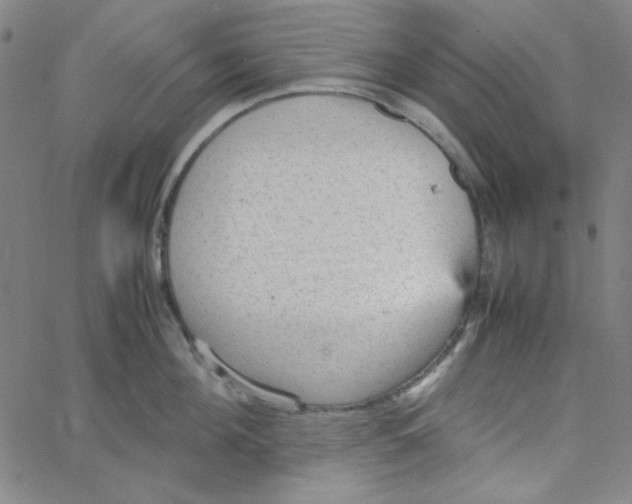 X0000067520908200604281631