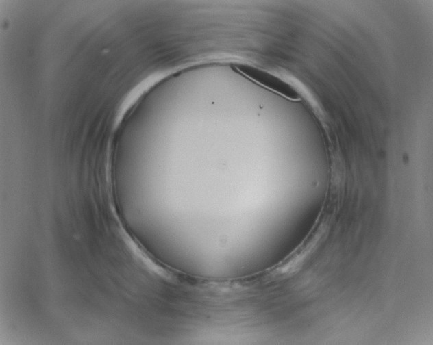 X0000067520910200604281631