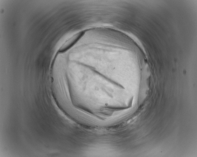 X0000067520911200604281631