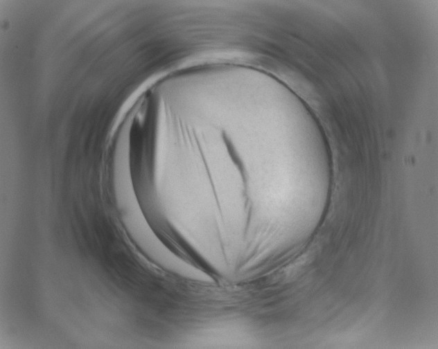 X0000067520912200604281631