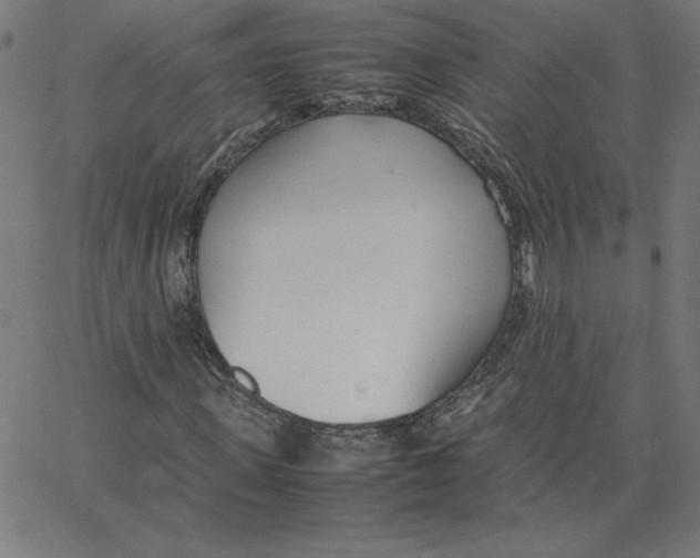 X0000067520915200604281630