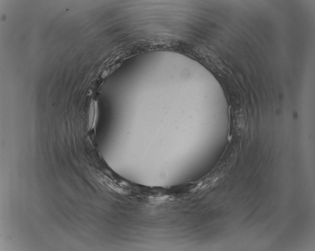 X0000067520916200604281630