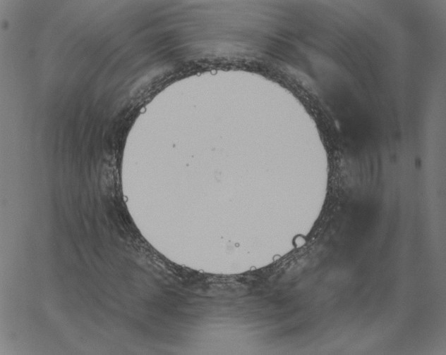 X0000067520918200604281630