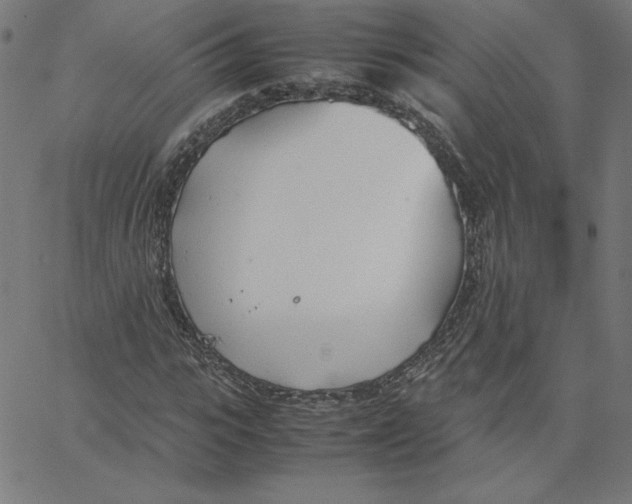 X0000067520919200604281630