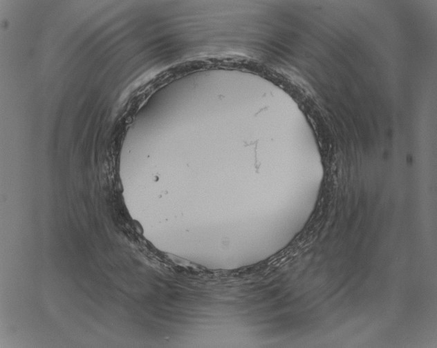 X0000067520920200604281630