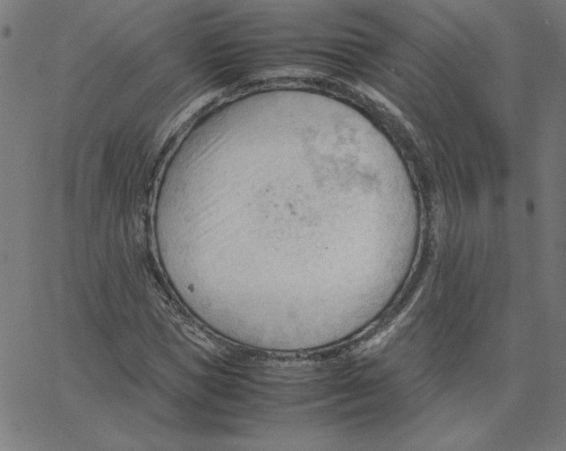 X0000067520921200604281630