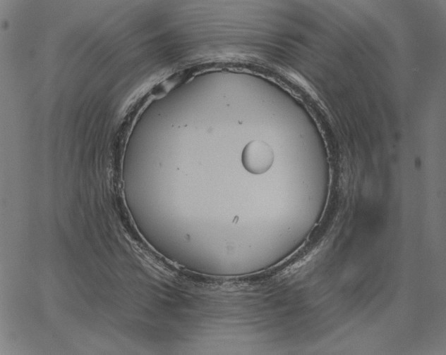 X0000067520922200604281630