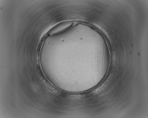 X0000067520925200604281630