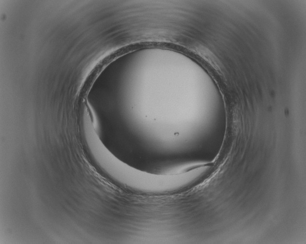 X0000067520926200604281630