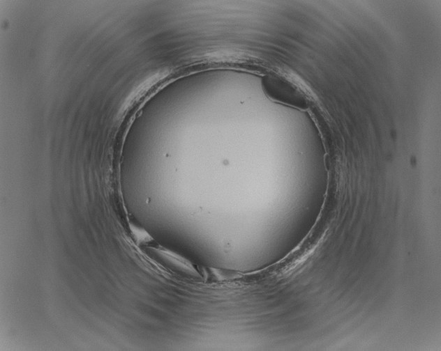 X0000067520930200604281630