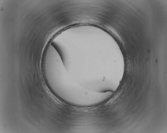 X0000067520932200604281630