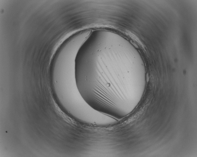 X0000067520934200604281630