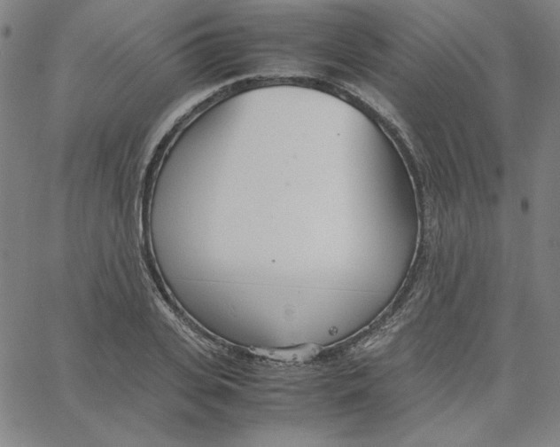 X0000067520935200604281630